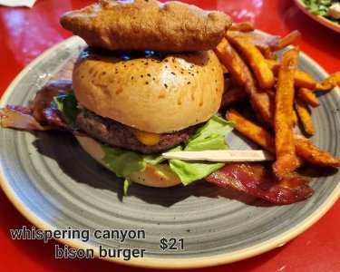 WL whispering canyon-bison burger.jpg