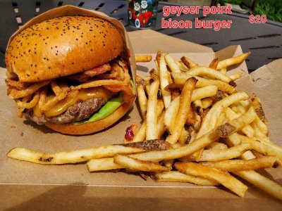 WL Geyser point bison burger.jpg