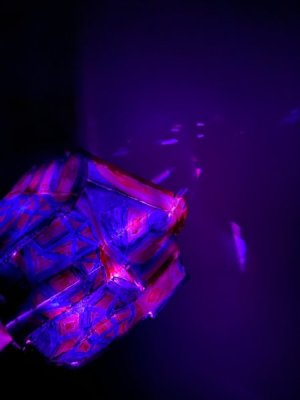 thumbnail_IMG_4851.jpeg