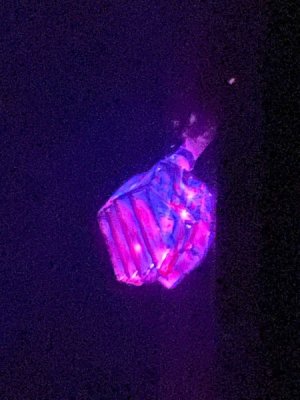 thumbnail_IMG_4853.jpeg