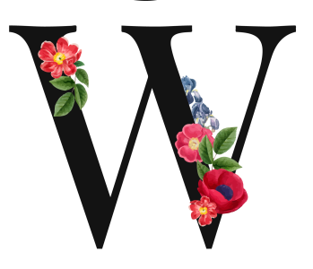 1663717160251.png