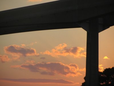 IMG_3486.JPG