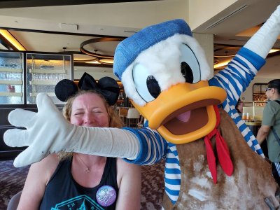 Riv Topolino's-Donald blocking.jpg