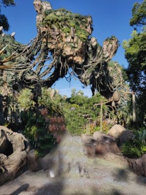 Animal Kingdom_nature (Medium).jpg