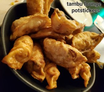 Poly Tambu lounge potstickers.jpg