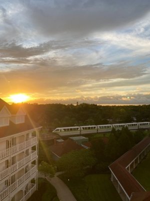 IMG_4450.jpg