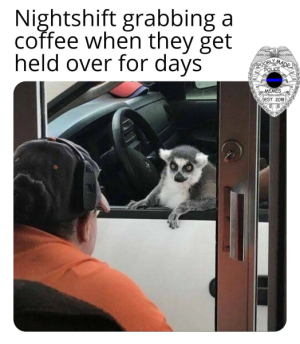 1664114309018.png