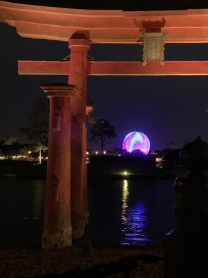 IMG_1395.jpeg