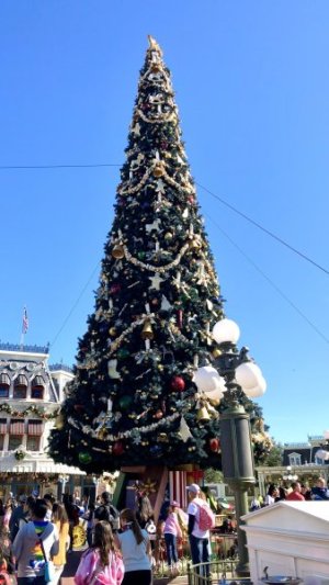 IMG_9043.JPEG