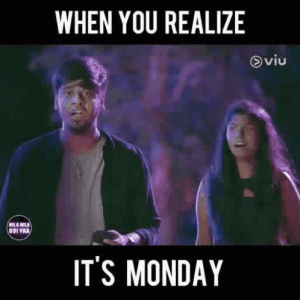 1664191776950.gif