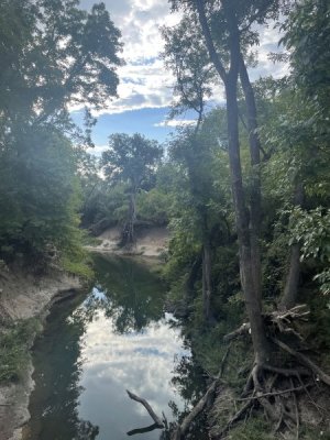 IMG_3646.jpeg