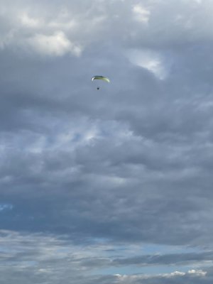 IMG_3644.jpeg