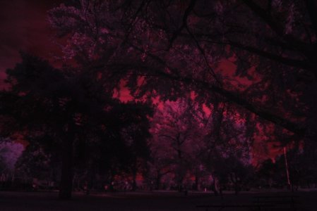 DSC_3058 (Small).JPG