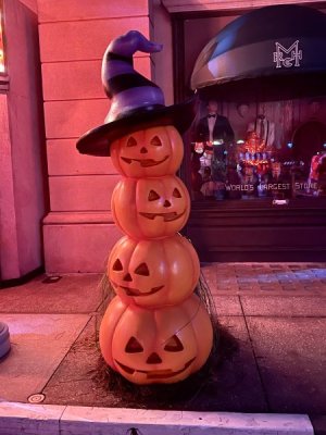 762FD222-A7DE-49FA-8C50-66719FC2D4B8.jpeg