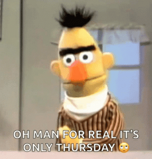 1664451129942.gif