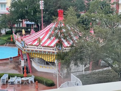 D46887AD-0394-4C95-A26A-E290808D7969.jpeg