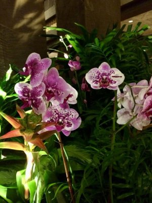 264DCEDA-DDDB-4902-9E18-C5177D4BCBF9.jpeg