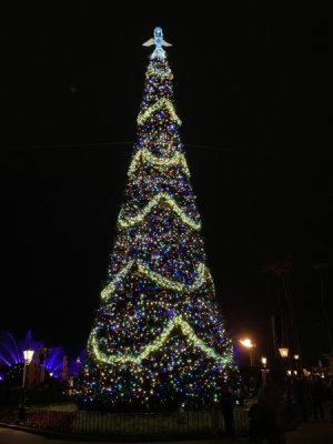 IMG_0157.JPEG