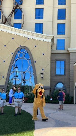 IMG_6190.jpeg
