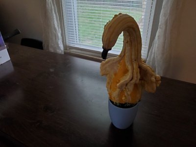 20220930_152103.jpg