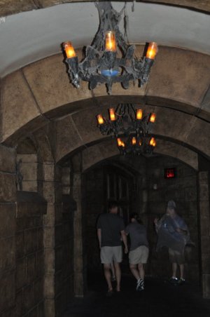 Magic Kingdom- Haunted Mansion18.JPG