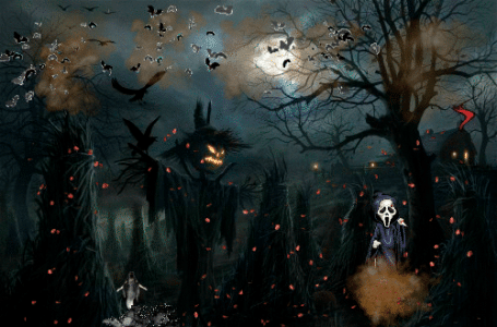 7A1532CF-AA1A-4DE3-ABC2-155FA05911DA.gif