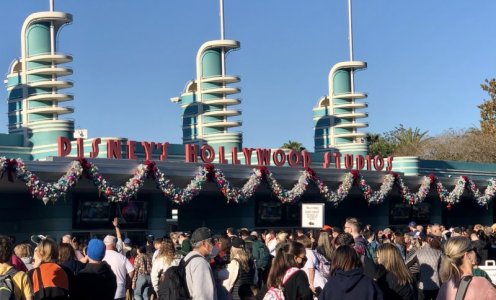 IMG_9313.JPEG