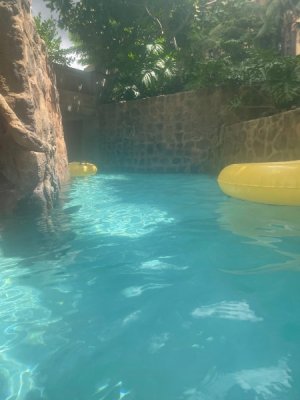 IMG_8115.jpeg