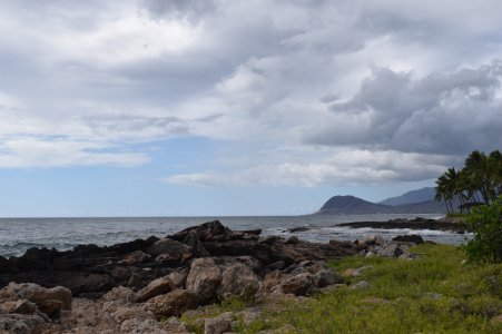 DSC_0038.jpg