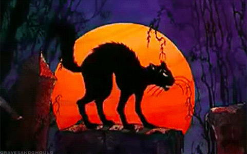 C5F6A447-197A-4A7A-A45C-30777C99B3D9.gif
