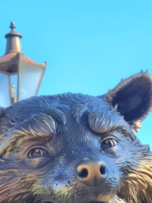 20220930_165847.jpg