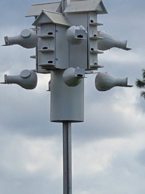 20220925_143629.jpg