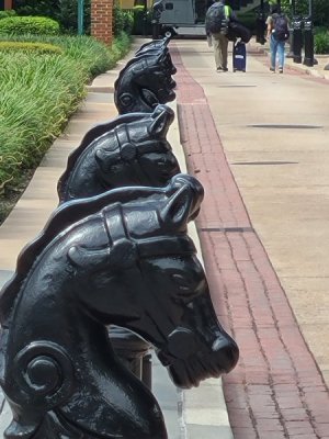 20220925_145121.jpg
