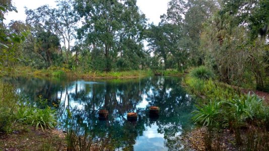 IMG_20161015_103930157_HDR.jpg