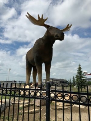 Mac the Moos 2.jpg