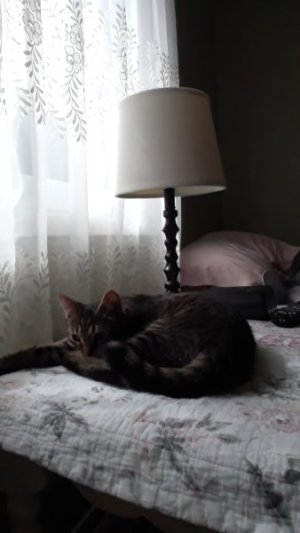 20220913_134151.jpg