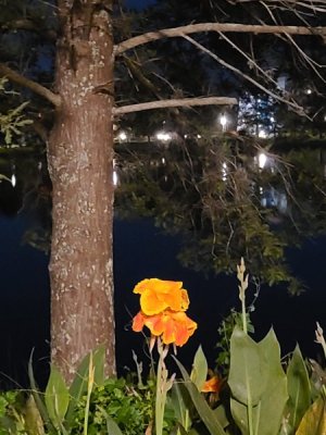 20220926_063427.jpg