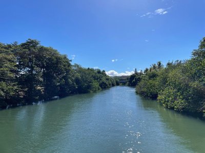 IMG_8208.jpeg