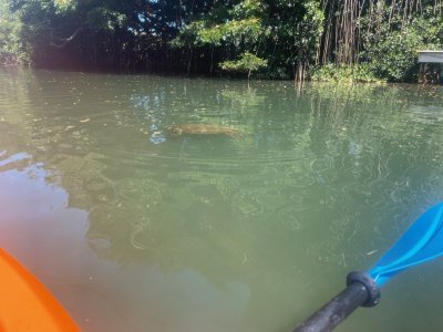 IMG_8217.jpeg
