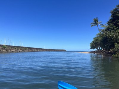 IMG_0526.jpg