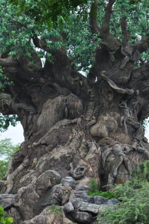 Animal Kingdom- Tree of Life Trunk Detail.JPG