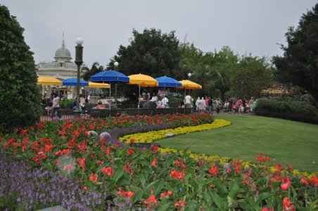 Magic Kingdom- Grounds.JPG