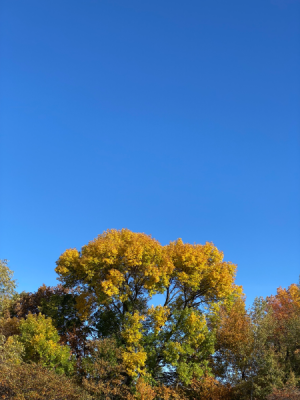D7DFD8EC-0DB6-4241-BC44-FE9EE0F96A03.jpg