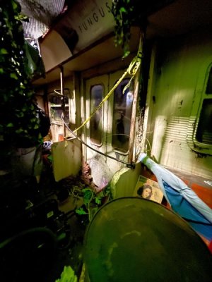 D9717E13-BAEA-4310-90BA-7B4CFAA7C305.jpeg