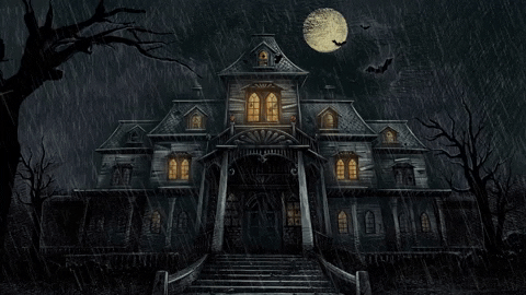78E8A14D-0140-4A0D-993B-1E6F5031D8A9.gif