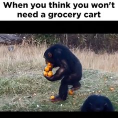 1665419074160.png
