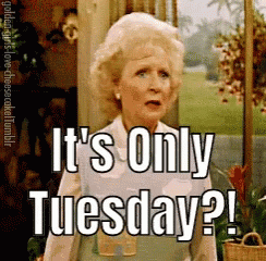 1665488190317.gif