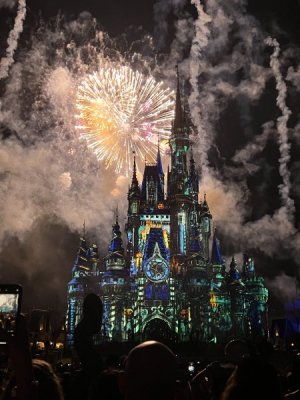 mnsshp.jpg