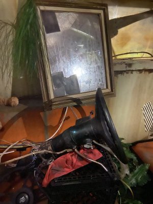 B50EC125-784F-4ED0-99F2-65B9F5BC8AD1.jpeg