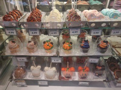 IMG_20220903_135205 (Medium).jpg